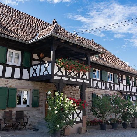 Chambres D'Hotes De Charme A La Ferme Freysz Quatzenheim Kültér fotó