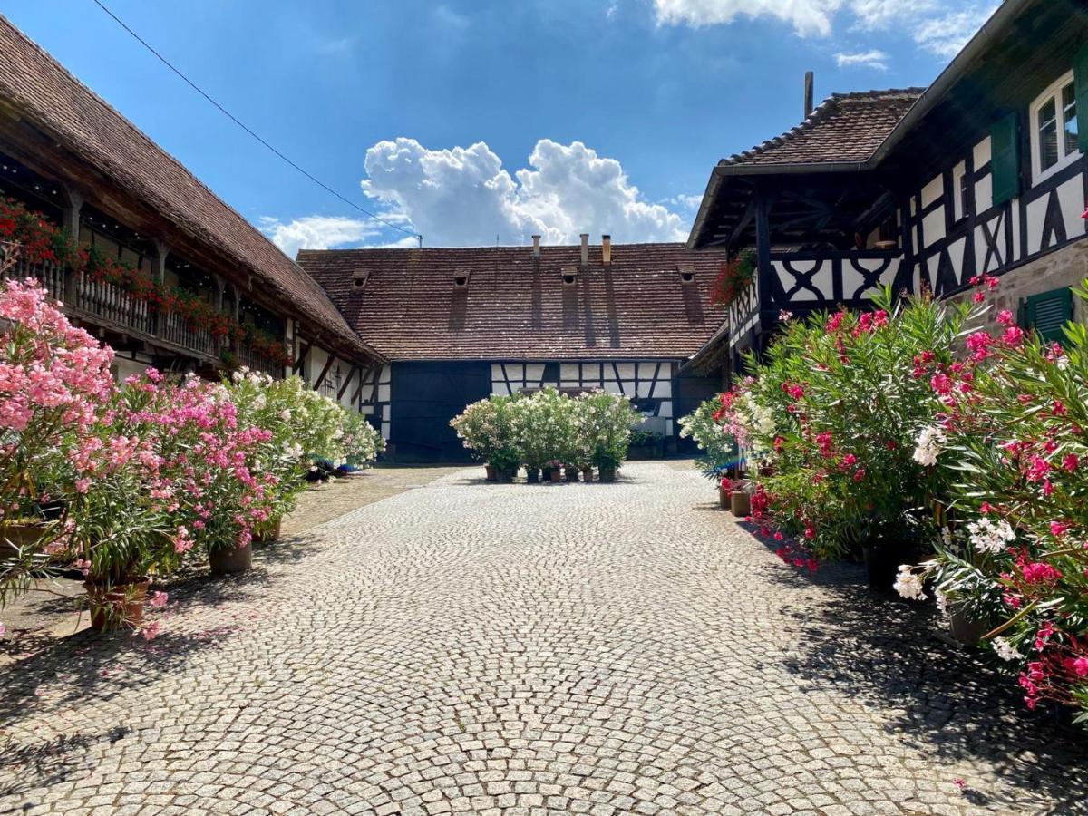 Chambres D'Hotes De Charme A La Ferme Freysz Quatzenheim Kültér fotó