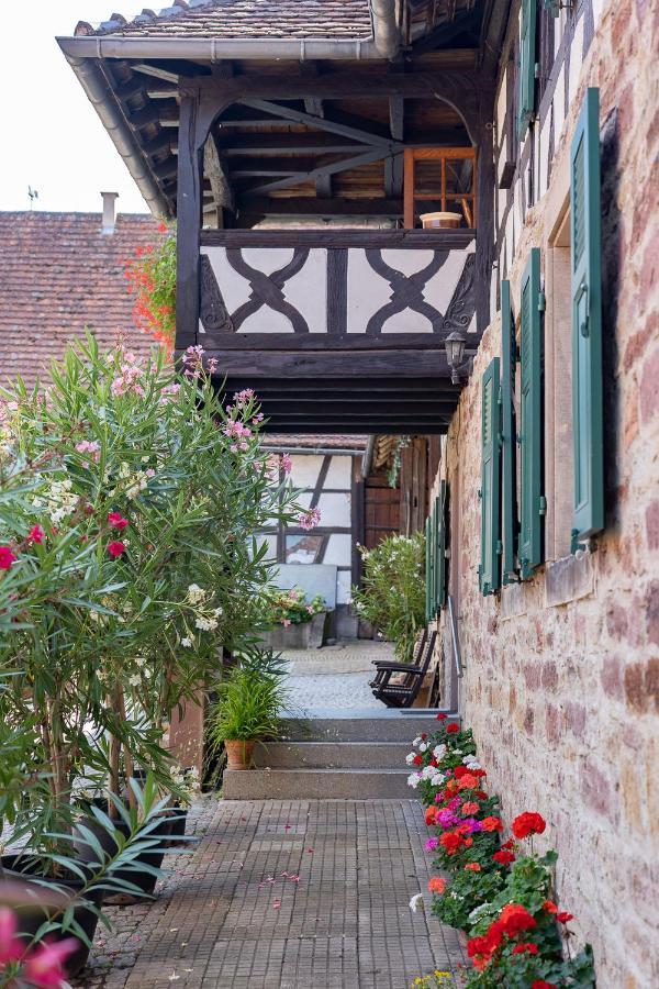 Chambres D'Hotes De Charme A La Ferme Freysz Quatzenheim Kültér fotó