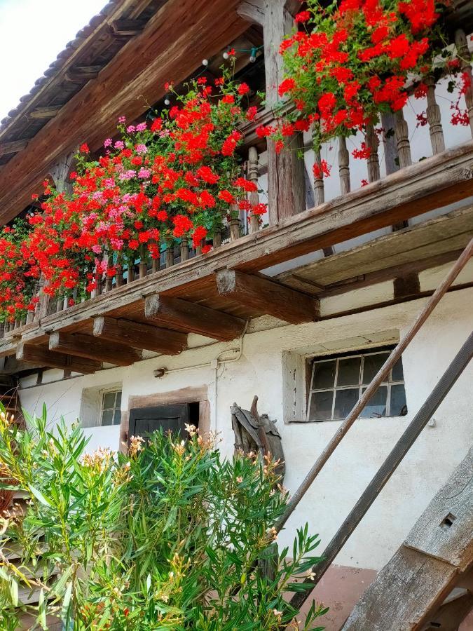Chambres D'Hotes De Charme A La Ferme Freysz Quatzenheim Kültér fotó