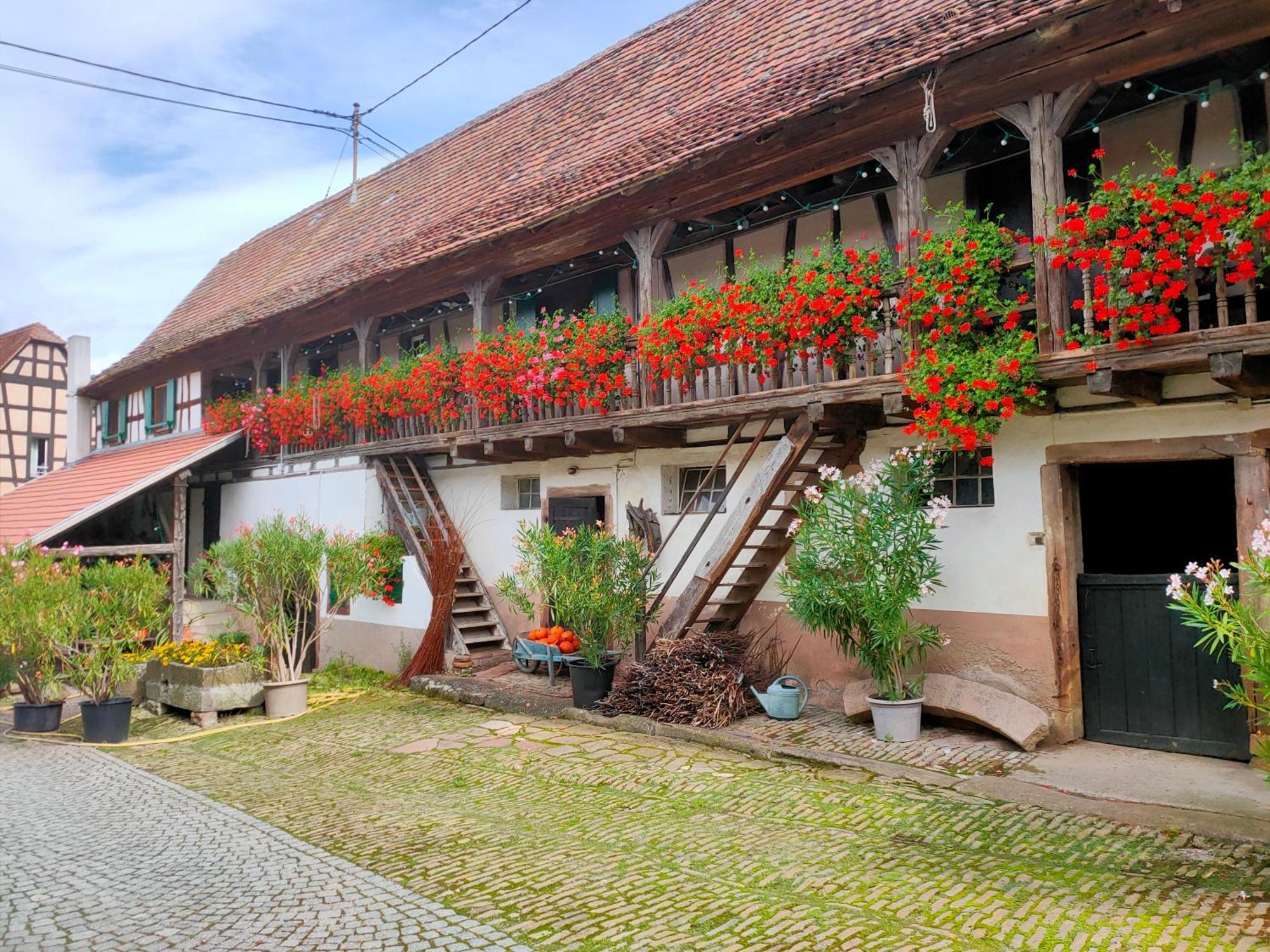Chambres D'Hotes De Charme A La Ferme Freysz Quatzenheim Kültér fotó